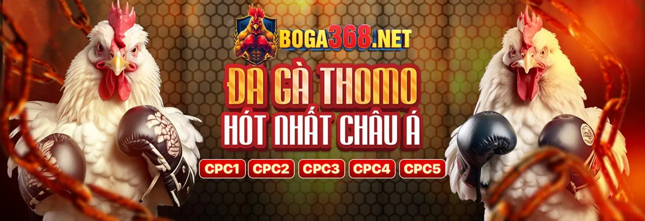 Minh họa các loại cookie khác nhau được sử dụng bởi vnsoxo casino, với các biểu tượng đại diện cho chức năng và mục đích của chúng