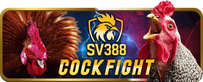 Tin tức thể thao vnsoxo casino
